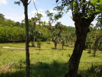 Picture 1